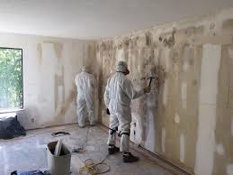 Mold Remediation for Vacation Homes in Port Jefferson, NY